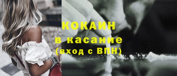 шишки Заволжье