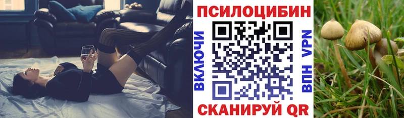 Псилоцибиновые грибы Magic Shrooms  Купить  Кола 